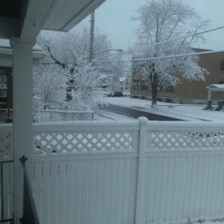 A serene winter scene featuring snow-covered trees and a white picket fence.