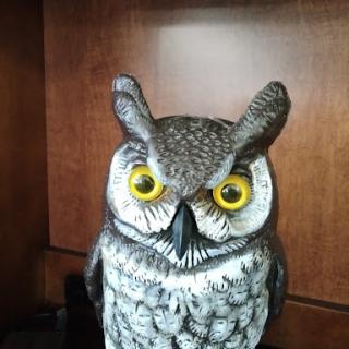 A beautifully crafted decorative owl figurine with striking yellow eyes.