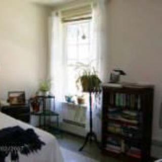 A cozy bedroom corner with a window, bookshelf, and plant.