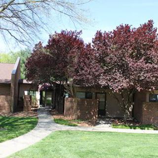 A residential building surrounded by trees with a pathway leading through a garden area.