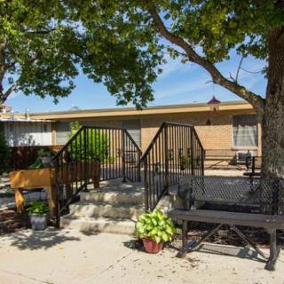 A sunny outdoor patio area with benches, potted plants, and trees casting shadows.