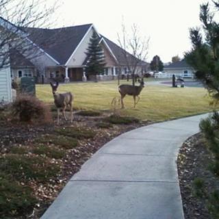 East Cascade Retirement Community