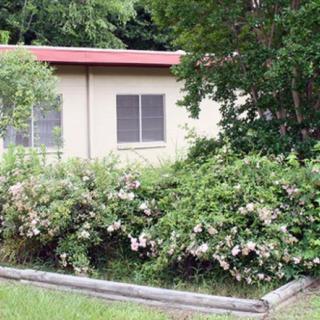A house with a garden and flowering bushes in front.
