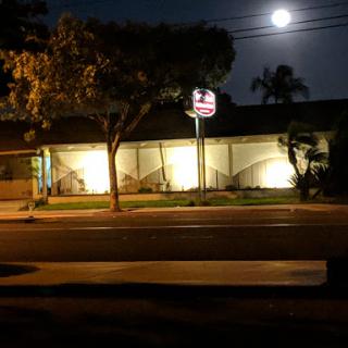 A quiet street scene at night illuminated by a bright moon.
