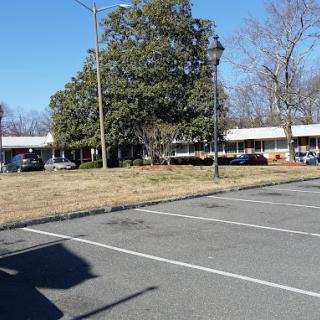 An empty parking lot with trees and a building in the background on a clear day.