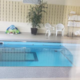 A serene indoor swimming pool area with comfortable seating and greenery.