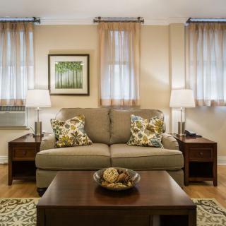 Cozy living room with a comfortable sofa and elegant decor.
