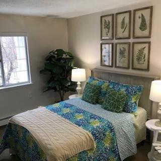 A cozy bedroom with patterned bedding, elegant artwork, and soft lighting.