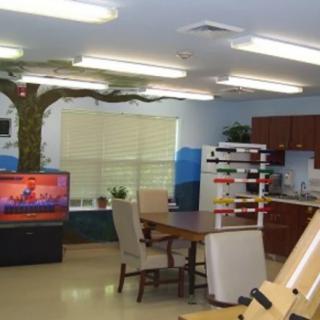 A cozy room featuring a dining table, chairs, a television, and a decorative tree.