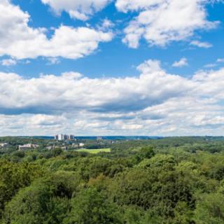 A scenic view of a lush green landscape under a vibrant blue sky with scattered clouds.