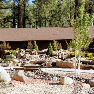 A beautifully landscaped garden featuring rocks, trees, and a building nestled among nature.