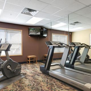 A gym with treadmills and other exercise equipment.