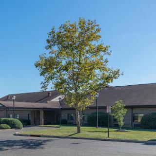 A serene view of a building with a large tree in front, set against a clear blue sky.