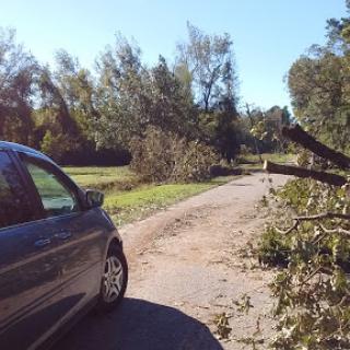 A car parked next to a road blocked by fallen branches and trees, highlighting the aftermath of recent weather events.