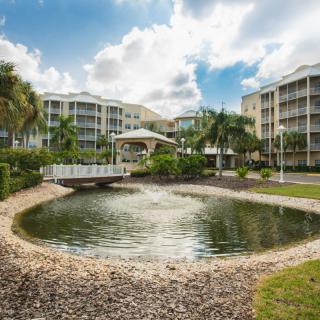 Regal Palms
