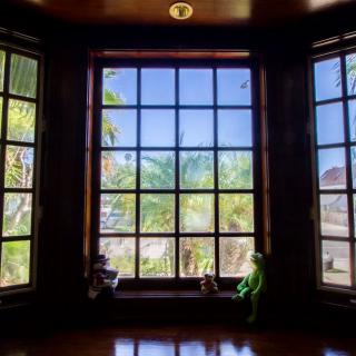 A sunlit room with a large window offering a view of lush trees outside.
