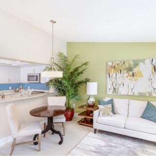 A modern living room with a light-colored sofa, decorative cushions, a small round dining table, and an indoor plant.