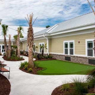 A well-maintained outdoor area with a pathway surrounded by palm trees and a modern building.