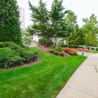 A well-maintained garden with lush greenery and a paved sidewalk.