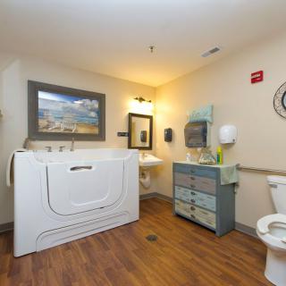 An accessible bathroom with a walk-in bathtub, sink, and toilet on a wooden floor.