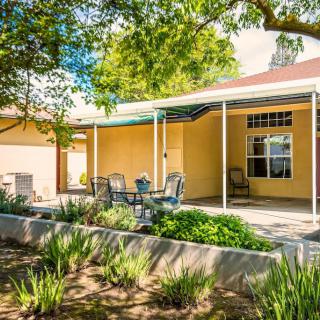 A cozy patio with outdoor seating surrounded by a well-maintained garden and trees.