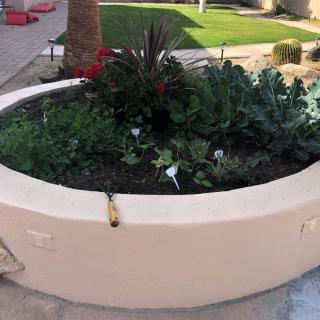 A neatly arranged outdoor garden planter featuring a variety of plants and greenery.