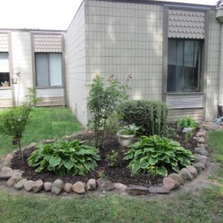 A well-maintained garden with various plants and a decorative stone border.