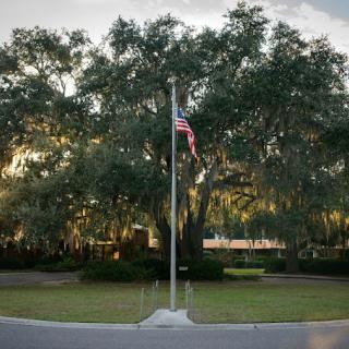 An American flag on a flagpole set against a backdrop of trees and a clear sky.
