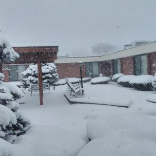 A snowy courtyard with heavy snowfall covering trees and walkways.