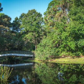A serene landscape featuring a bridge over a peaceful pond surrounded by lush greenery.