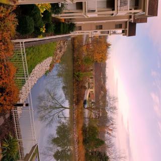 A peaceful residential area with a pond and autumn foliage.