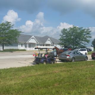 A curious roadside scene featuring a horse and several cars on a sunny day.