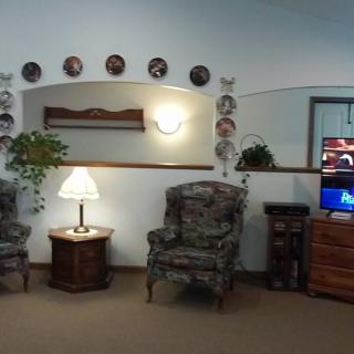 A cozy living room with patterned chairs, a lamp, plants, and a television. Decorative plates adorn the wall above a mirror.
