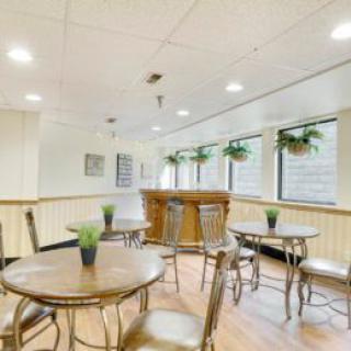 A cozy cafe interior with wooden tables and chairs, decorated with small plants near the windows.