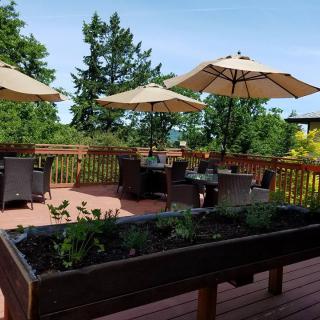 A scenic outdoor deck with patio furniture and umbrellas, surrounded by greenery.