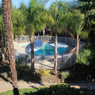 A fenced swimming pool surrounded by palm trees in a backyard.