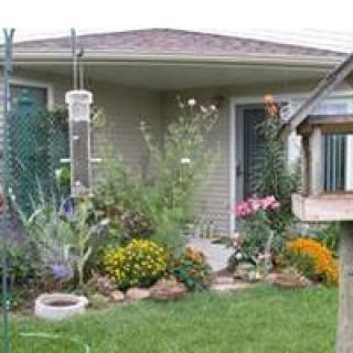 A house with a front yard garden filled with various flowers and plants.