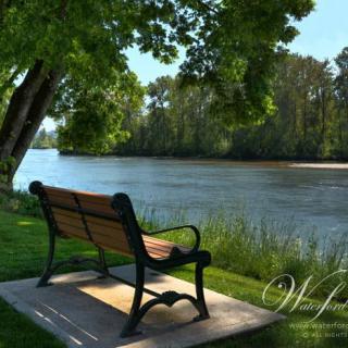 A peaceful bench by the riverside surrounded by lush greenery.