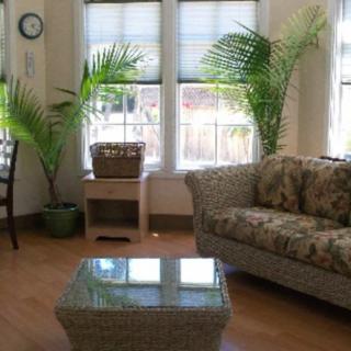 A cozy living room with a sofa, coffee table, and potted plants by the window.