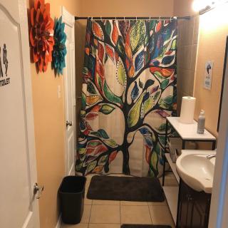 A bathroom featuring a vibrant tree-themed shower curtain, with decorative wall hangings and a modern sink.