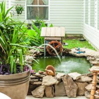 A peaceful garden pond with a small water feature surrounded by greenery and rocks.