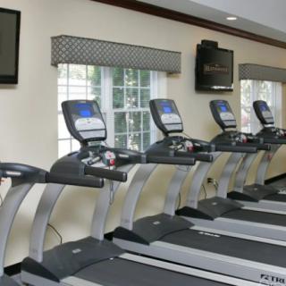 A row of treadmills in a well-lit gym, ready for use.