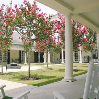 A peaceful courtyard with blooming trees and classic architecture.