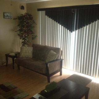 A cozy living room with a sofa, indoor plant, and natural light filtering through vertical blinds.