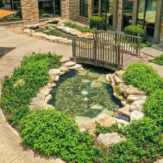 A tranquil garden pond with a small bridge, surrounded by lush greenery.