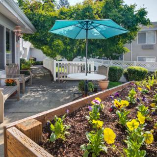 A sunny backyard patio featuring a raised garden bed with colorful flowers and outdoor seating under a blue umbrella.