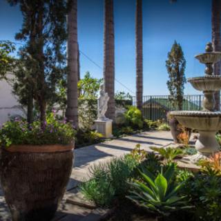 A peaceful garden setting featuring a fountain surrounded by lush plants and palm trees.