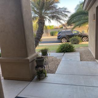 View of a driveway with palm trees and a parked vehicle.