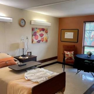 A well-organized hospital room with a patient bed and cozy furnishings.