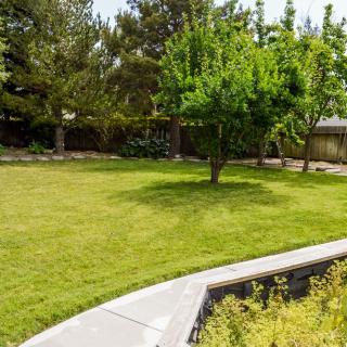 A well-maintained backyard garden with a lush lawn and a single tree.
